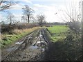 Track - Rooks Nest Road