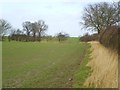 SE3386 : Mucky fieldside path at Swainby by Gordon Hatton