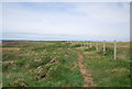 SM8401 : Pembrokeshire Coastal Path by N Chadwick