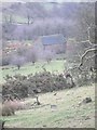 Barn in the Swainsmoor valley