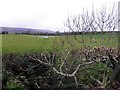 Coolnacrunagh Townland