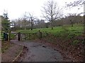 The Arboretum at Follaton House, Totnes