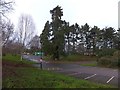 Car park and trees at Follaton House, Totnes