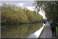 Trees along the Grand Union Canal