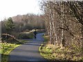 Consett and Sunderland Railway Path at South Pelaw