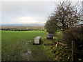 Another Pasture opposite Cold Coats Farm