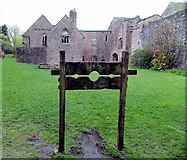 SO5504 : Put head and both arms here, St Briavels by Jaggery