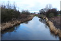 River Nith at New Cumnock