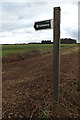 TM2440 : Bridleway sign on Felixstowe Road by Geographer