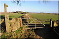 Footpath to Folly Farm