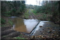 Ford in Dalehouse Wood near Staithes