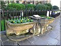 Cattle trough near St. Peter