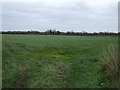 Farmland off Benson