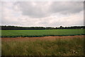 Arable land by the A11