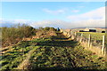 Walker on the Southern Upland Way at Sanquhar