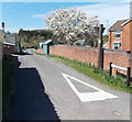 Sunshine and shadow on Sun Green Road, Bream