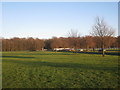 View towards Sandall Beat Wood