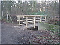 Another footbridge in Sandall Beat Wood