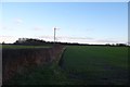 Towards Moreby Wood