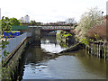 Bell Lane Creek