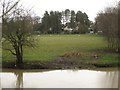 SP2965 : Floodmeadow behind Ashley Crescent, Myton, Warwick 2014, January 8, 12:56 by Robin Stott