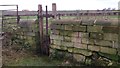 Sluice Gate, Mill Farm