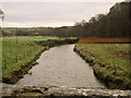SS4523 : Looking down the river Yeo from Mill Bridge by Roger A Smith