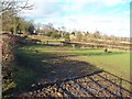 Grazing Land near Grove Farm