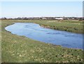 ST3234 : Bend in the River Parrett by Roger Cornfoot