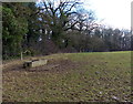 Cattle trough and field near Stackyard Spinney