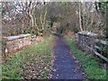 The bridge over Hood Lane.