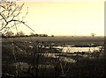 Saturated Farmland near Spondon