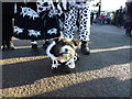 TL2697 : Dog in Pig Dyke Molly costume - Whittlesea Straw Bear Festival 2014 by Richard Humphrey