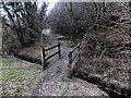 Footbridge over Nant Cynffig in Parc Slip