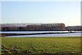SJ4052 : The Afon Dyfrdwy/River Dee Flood Plain by Jeff Buck