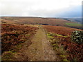 Nidderdale Way approaching Woodale