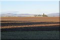 Field, Muirside of Aldbar