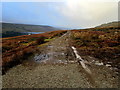 Nidderdale Way heading for Scar House