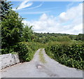 Yewtree Cottage access lane, Llangynidr