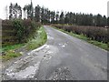 Icy along Oldcastle Road