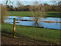 TQ0072 : Runnymede, Langham's Pond by Alan Hunt