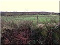 Evishacrancussy Townland