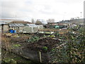 Allotments - Marland Road