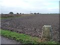 2 metre trig point, Reading Gate