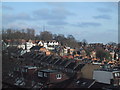 View of Alexandra Palace across the rooftops