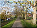 Walk along the old town defences of Sandwich