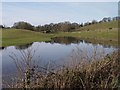 Surface flood water in a field at Jackaments Bottom