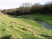 ST9093 : The fledging River Avon flowing through Preston Park near Tetbury by Paul Best