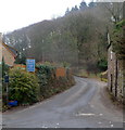 Single track road from Crocker