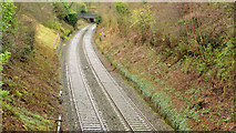 J4381 : Railway cutting, Rockport/Seahill by Albert Bridge